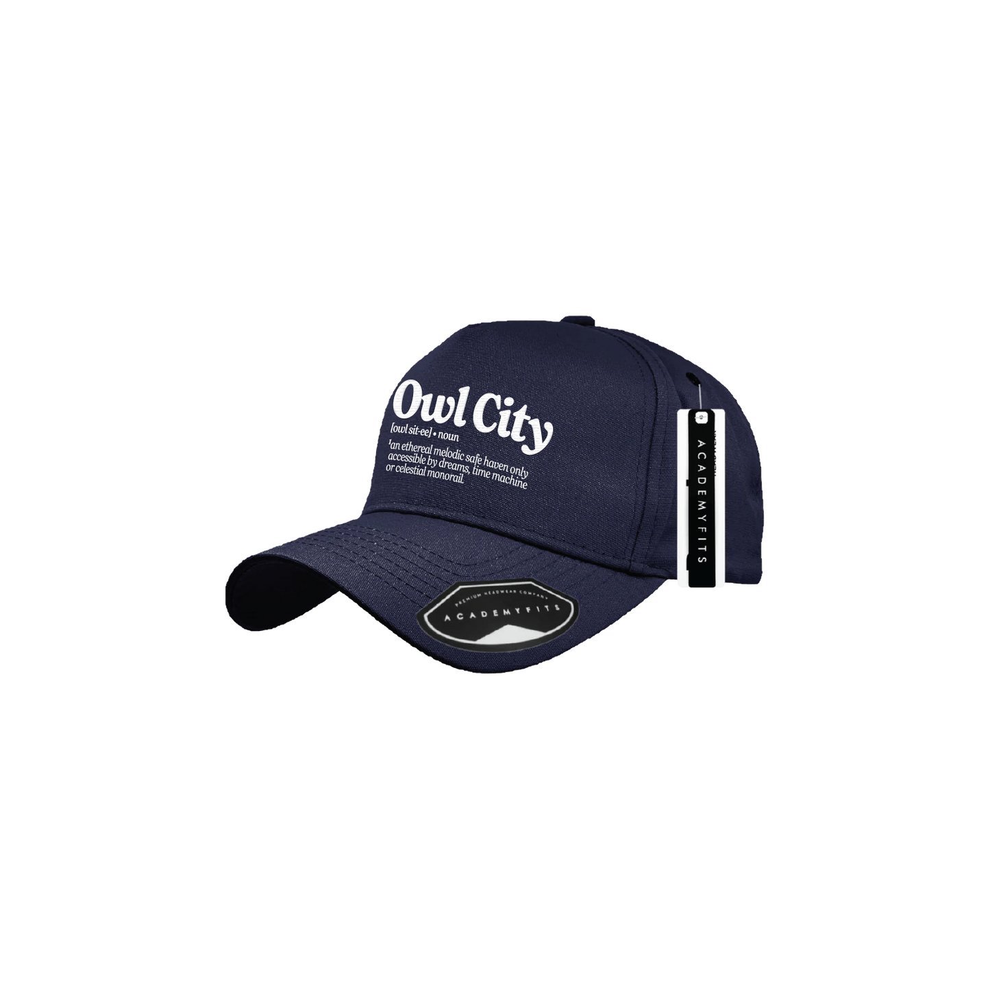 Definition Embroidered Hat